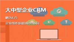 鹏为软件为大中型企业提供CRM